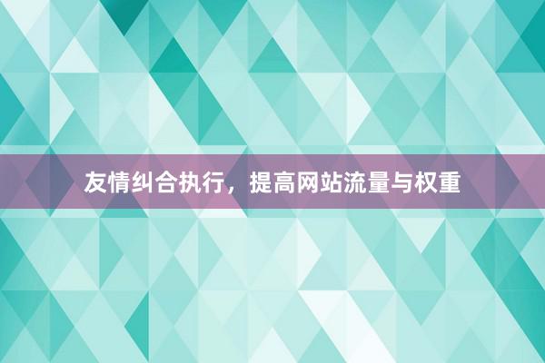 友情纠合执行，提高网站流量与权重