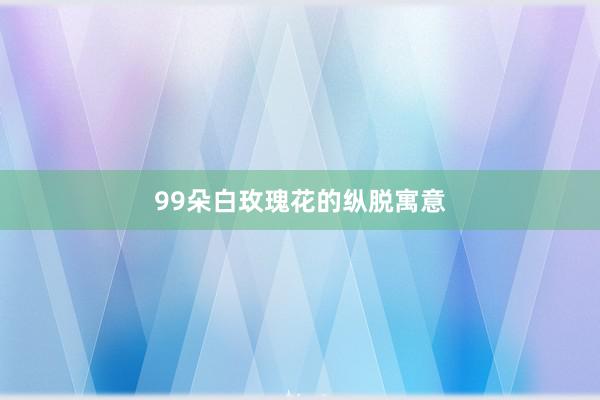 99朵白玫瑰花的纵脱寓意