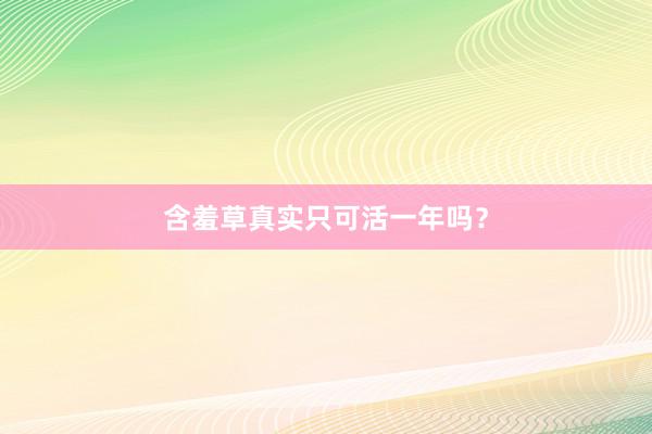 含羞草真实只可活一年吗？