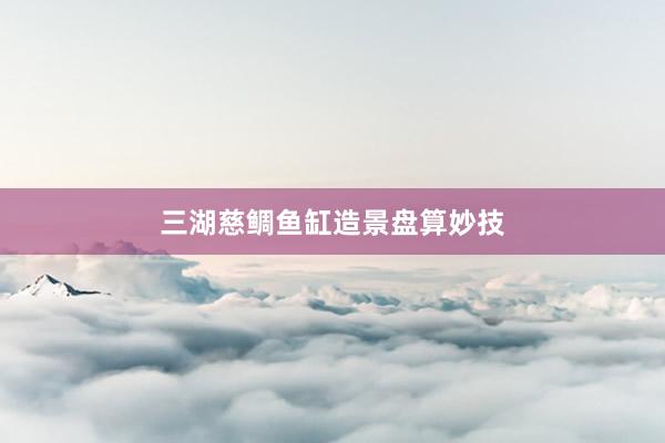 三湖慈鲷鱼缸造景盘算妙技